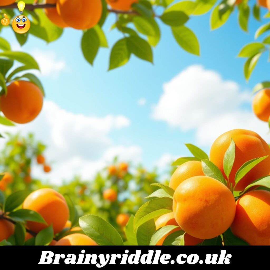 Best & Amazing Apricot Quotes