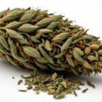 200+ Weed Puns to Keep You Rolling with Laughter