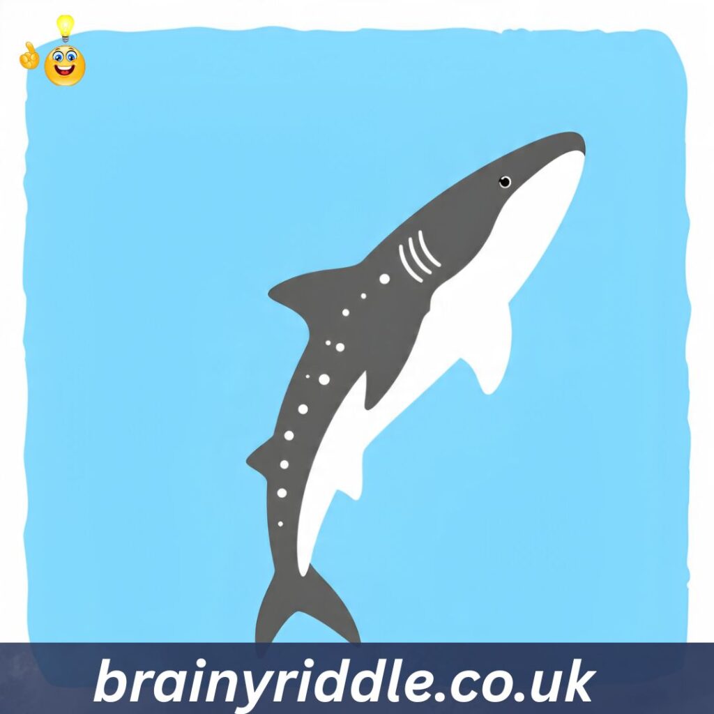 🐋 Whale Shark Puns 🦈🐳