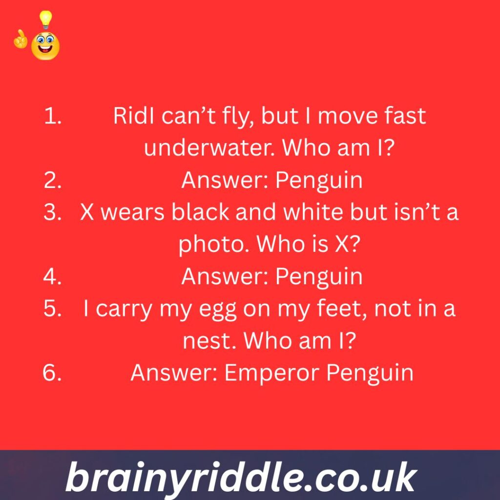 Penguin Riddle X Puzzles